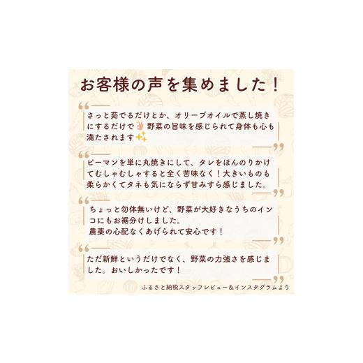 ふるさと納税 仕かける・詰合せ 埼玉県 久喜市 蔬菜 旬の蔬菜仕かける 5作目 人並み外れた作りだす 隔月送りとどける 6カ月 偶数月（2／4／6／8／10／12）送りとどける | 蔬菜 やさい 生蔬菜 お…