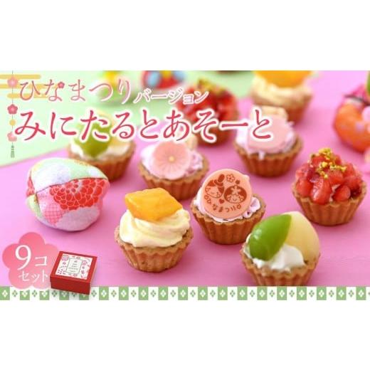 ふるさと納税 ケーキ・カステラ タルト 岡山県 岡山市 みにたると 9個 セット ひな祭りバージョン フレッシュタルトのお店STYLE スイーツ タルト ケーキ フル…