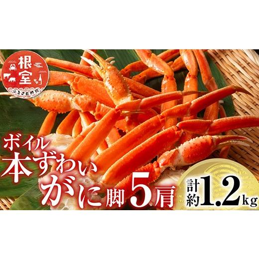 ふるさと納税 蟹 ずわいガニ 北海道 根室市 A-11246 沸騰させる本ずわいがに脚5肩(計約1.2kg)