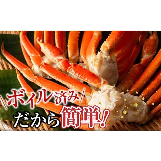 ふるさと納税 蟹 ずわいガニ 北海道 根室市 A-11246 沸騰させる本ずわいがに脚5肩(計約1.2kg)