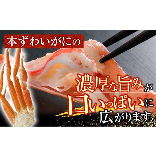ふるさと納税 蟹 ずわいガニ 北海道 根室市 A-11246 沸騰させる本ずわいがに脚5肩(計約1.2kg)