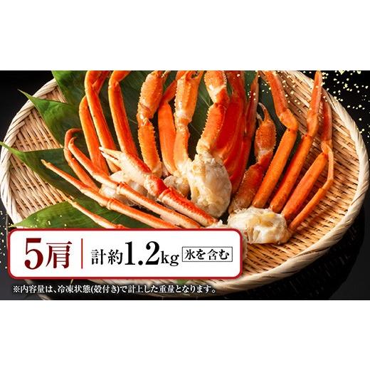 ふるさと納税 蟹 ずわいガニ 北海道 根室市 A-11246 沸騰させる本ずわいがに脚5肩(計約1.2kg)