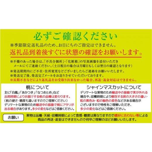 ふるさと納税 もも 香川県 さぬき市 先行予約 白桃 桃 もも 約2kg 6-10玉入り | 香川県産 果物 くだもの フルーツ ジューシーな果汁と果肉が自慢の画像