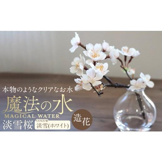ふるさと納税 雑貨・日用品 花 愛知県 名古屋市 新春 淡雪桜 さくら 魔法の水 マジカルウォーター『淡雪』 淡雪