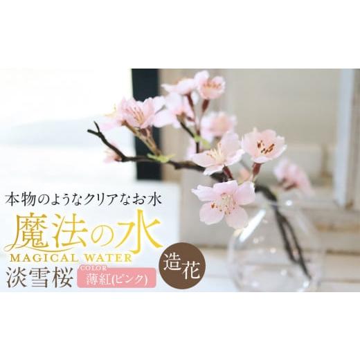ふるさと納税 雑貨・日用品 花 愛知県 名古屋市 新春 淡雪桜 さくら 魔法の水 マジカルウォーター『薄紅』 薄紅