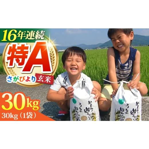 ふるさと納税 玄米 佐賀県 江北町 先行予約 2026年11月発送 令和8年産 さがびより 玄米 30kg ひなたむらのお米 HAC001 米 佐賀 佐賀県産 特A評価 特A米 2026…