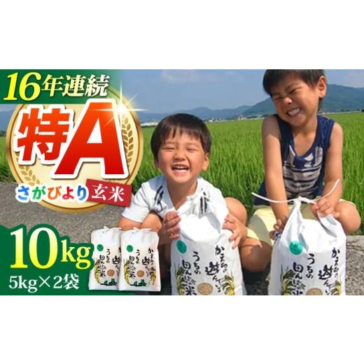 ふるさと納税 米 さがびより 佐賀県 江北町 先行予約 2026年10月発送 令和8年産 さがびより 玄米 10kg ( 5kg×2袋 ) ひなたむらのお米 HAC003 米 佐賀 佐賀県…