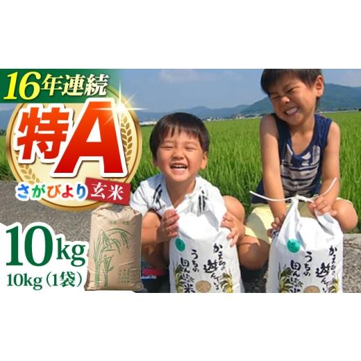 ふるさと納税 玄米 佐賀県 江北町 先行予約 2026年10月発送 令和8年産 さがびより 玄米 10kg ひなたむらのお米 HAC004 米 佐賀 佐賀県産 特A評価 特A米 玄米 …