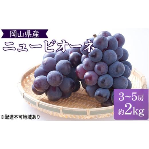 ふるさと納税 ぶどう 巨峰 岡山県 高梁市   2026年 早期受付 ぶどう 晴れの国 ピオーネ 2kg(3〜5房)化粧箱入り 岡山県 高梁市 ブドウ 葡萄 果物…