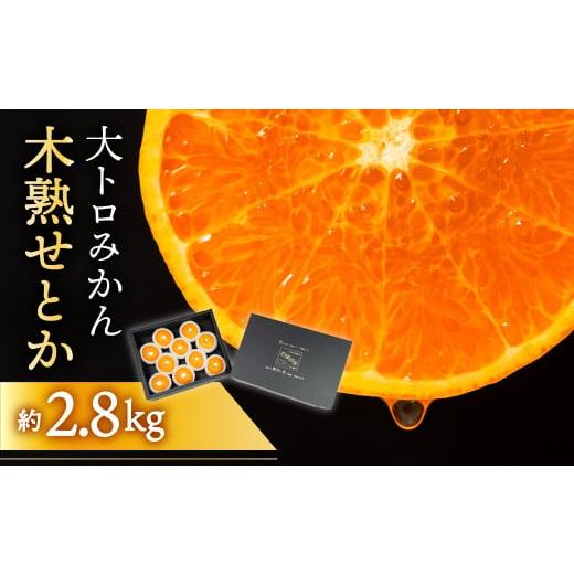 ふるさと納税 果物類 みかん 愛知県 豊橋市 マルカワ園芸の木熟せとか 2.8kg 秀品 化粧箱入 せとか マルカワ園芸 みかん mikan ミカン 蜜柑 柑橘 柑橘類 贈答 …