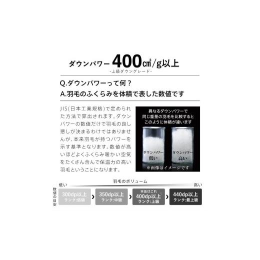 ふるさと納税 タオル・寝具 掛け布団 福岡県 久留米市 羽毛布団　ハンガリーホワイトダック93％　DP400　シングル（無地ネイビー）_Qc071-ny シングル（無地ネ…_5
