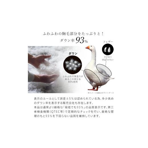 ふるさと納税 タオル・寝具 掛け布団 福岡県 久留米市 増量1.2kg 羽毛布団　ハンガリーホワイトダック93％　DP400　シングル（無地ナチュラル）_Qc073-nt シ…_3