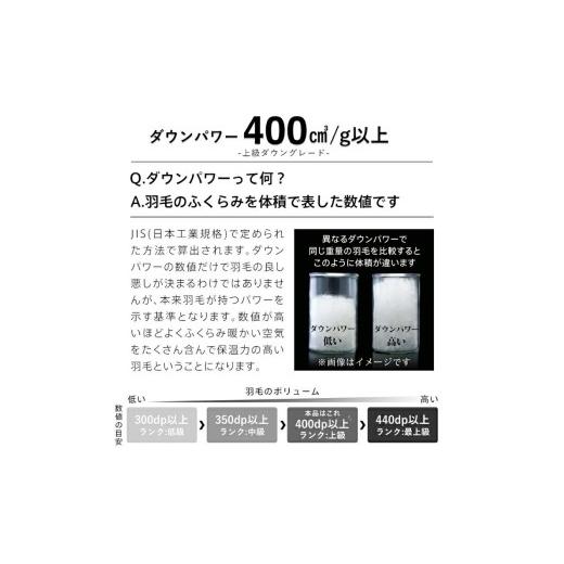 ふるさと納税 タオル・寝具 掛け布団 福岡県 久留米市 増量1.2kg 羽毛布団　ハンガリーホワイトダック93％　DP400　シングル（無地ナチュラル）_Qc073-nt シ…_5