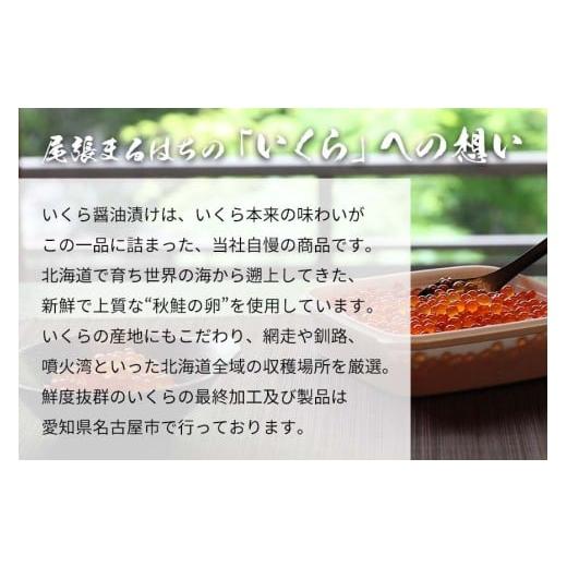 ふるさと納税 いくら 愛知県 名古屋市 いくら 醤油漬け 100gｘ1P 北海道 鮭卵 訳あり 冷凍 尾張まるはちの画像