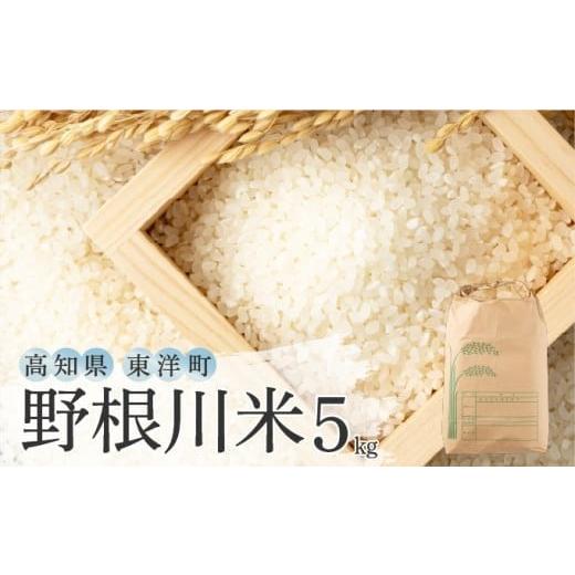 ふるさと納税 米 高知県 東洋町 令和7年産 野根川米 5kg 米 新米 国産 コメ NO001 5kg