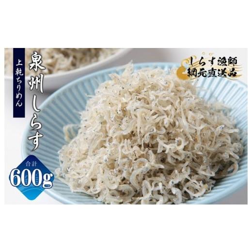 ふるさと納税 魚貝類 ちりめん 大阪府 泉佐野市 チョイス限定 上乾ちりめんしらす 600g 小分け 100g×6P シラス しらす sirasu 海鮮 人気 おすすめ 産地直送