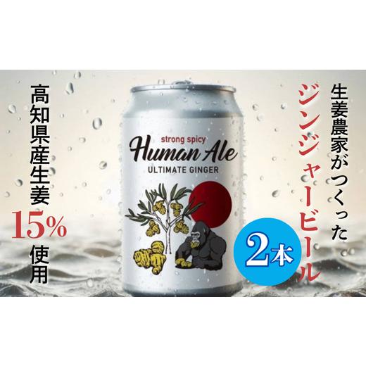 ふるさと納税 ビール 地ビール 高知県 中土佐町 ジンジャービール 2本 セット 350ml 地ビール ビール びーる お酒 さけ 生姜 しょうが ジンジャー BBQ 夏 晩酌…