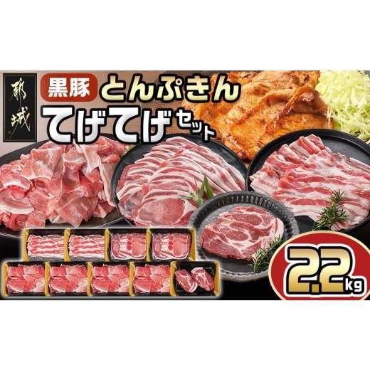 ふるさと納税 豚肉 ロース 宮崎県 都城市 「黒豚とんぷきん」てげてげセット2.2kg (都城市)