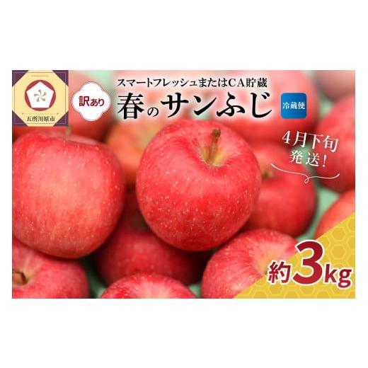 ふるさと納税 りんご 青森県 五所川原市 2026年4月下旬発送 訳あり サンふじ 約3kg スマートフレッシュ貯蔵またはCA貯蔵・クール便 4月下旬発送(21日〜末日…