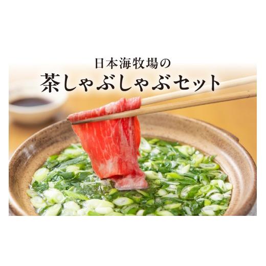 ふるさと納税 牛肉 しゃぶしゃぶ 京都府 京丹後市 日本海牧場の茶しゃぶしゃぶセット(京たんくろ和牛) お肉 肉 牛肉 国産 しゃぶしゃぶ 鍋 セット 詰め合わ…