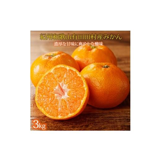 ふるさと納税 みかん・柑橘類 和歌山県 美浜町 高級ブランド 秀品 紀州有田田村産みかん 3kg