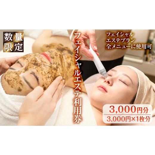 ふるさと納税 体験チケット 大阪府 箕面市 数量限定 フェイシャルエステ利用券(3,000円分(3,000円×1枚分)/フェイシャルエステプラン全メニューに使用可) m6…