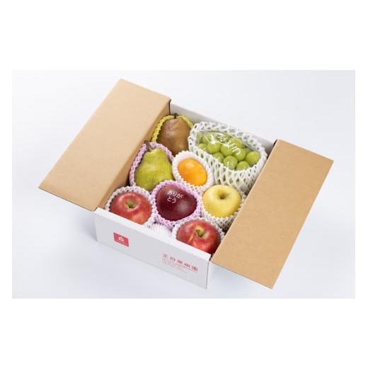 ふるさと納税 果物の詰合せ 山形県 天童市 08-03-095 つたえるフルーツセット3kg