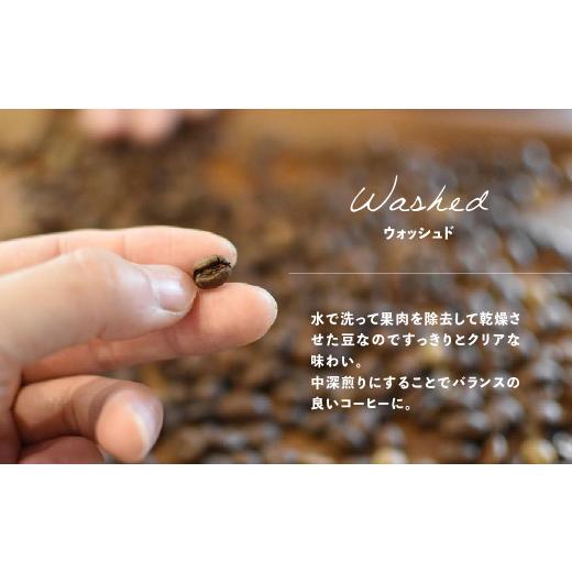ふるさと納税 コーヒー ドリップ 岐阜県 下呂市  自家用 「Kaung day」 ミャンマースペシャルティコーヒー ドリップパック 50パック 珈琲 コーヒー カウンデ…の画像
