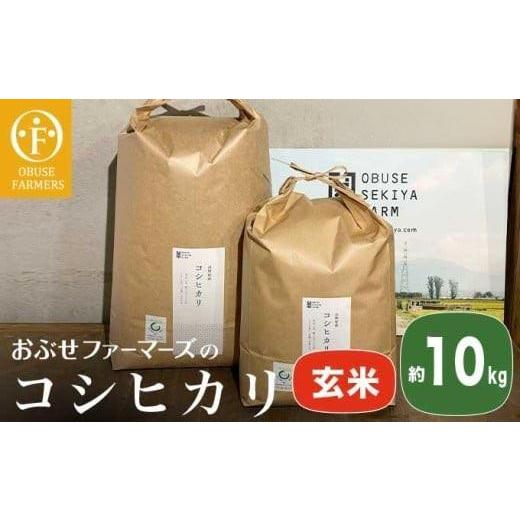 ふるさと納税 米 コシヒカリ 長野県 小布施町 コシヒカリ 玄米 約10kg [ おぶせファーマーズ ] お米 コメ おこめ ご飯 精米 長野県産 [FK-14] 玄米 約10kg…