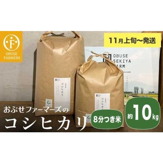 ふるさと納税 米 コシヒカリ 長野県 小布施町 コシヒカリ 8分つき米 約10kg [ おぶせファーマーズ ] お米 コメ おこめ ご飯 精米 長野県産 2025年11月上旬〜…