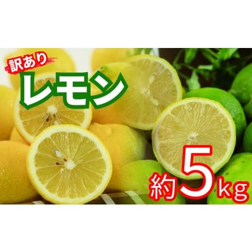 ふるさと納税 みかん・柑橘類 レモン 愛媛県 松山市 訳あり レモン サイズ不揃い 約5kg 5kg ¥8,000