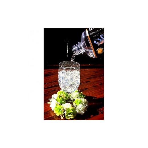 ふるさと納税 水・ミネラルウォーター 1L〜2L 山梨県 大月市  12ヶ月定期便 奇跡の飲む温泉水「真木温泉 弥生の舞」 飲泉力1000ml 20本入り 12ヶ月の画像