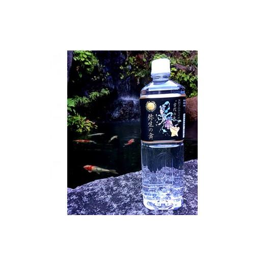 ふるさと納税 水・ミネラルウォーター 1L〜2L 山梨県 大月市  12ヶ月定期便 奇跡の飲む温泉水「真木温泉 弥生の舞」 飲泉力1000ml 20本入り 12ヶ月の画像
