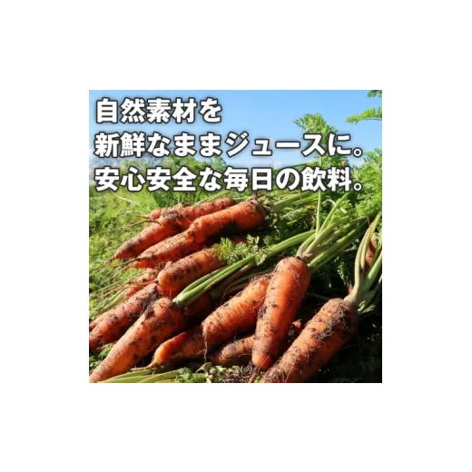 ふるさと納税 果汁飲料 にんじん 長野県 松本市 ナチュラルハウス 自然素材 国産 有機人参ジュース　１缶160ｇｘ30本入り | 人参 ジュース 野菜 ジュース 飲…