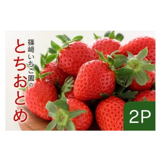 ふるさと納税 いちご 茨城県 石岡市 2026年先行予約 とちおとめ2P (A32-002) とちおとめ2P