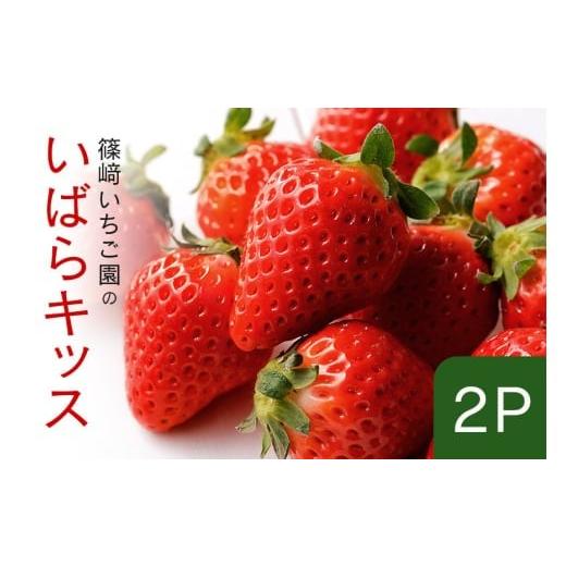 ふるさと納税 いちご 茨城県 石岡市 2026年先行予約 いばらキッス2P (A32-004) いばらキッス2P