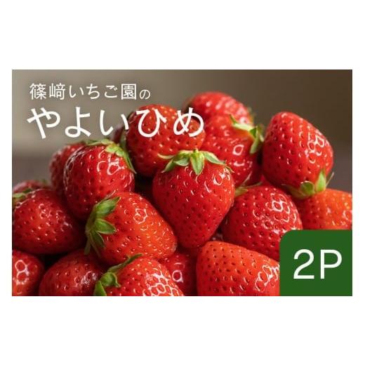 ふるさと納税 いちご 茨城県 石岡市 2026年先行予約 やよいひめ2P (A32-006) やよいひめ2P