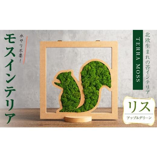 ふるさと納税 花・苗木 宮城県 柴田町 モスインテリア「リス」(アップルグリーン) 横200mm・高さ200mm・幅15mm 観葉植物 苔 コケ テラモス インテリア 植物 結…