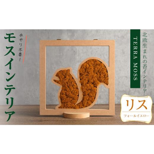 ふるさと納税 花・苗木 宮城県 柴田町 モスインテリア「リス」(フォールイエロー) 横200mm・高さ200mm・幅15mm 観葉植物 苔 コケ テラモス インテリア 植物 結…
