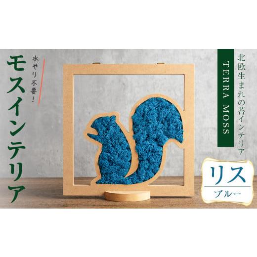 ふるさと納税 花・苗木 宮城県 柴田町 モスインテリア「リス」(ブルー) 横200mm・高さ200mm・幅15mm 観葉植物 苔 コケ テラモス インテリア 植物 結び sh028-E…