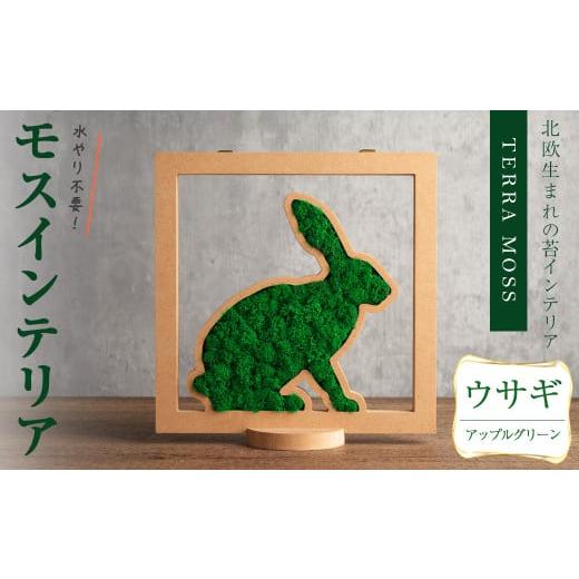 ふるさと納税 花・苗木 宮城県 柴田町 モスインテリア「ウサギ」(アップルグリーン) 横200mm・高さ200mm・幅15mm 観葉植物 苔 コケ テラモス インテリア 植物 …