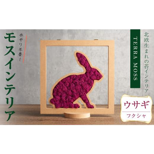 ふるさと納税 花・苗木 宮城県 柴田町 モスインテリア「ウサギ」(フクシャ) 横200mm・高さ200mm・幅15mm 観葉植物 苔 コケ テラモス インテリア 植物 結び sh0…