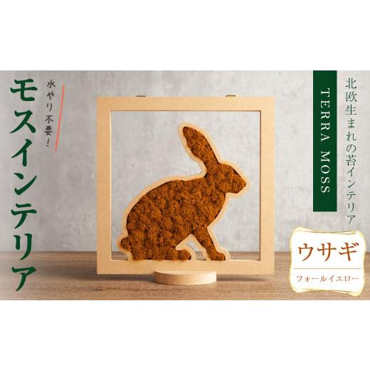 ふるさと納税 花・苗木 宮城県 柴田町 モスインテリア「ウサギ」(フォールイエロー) 横200mm・高さ200mm・幅15mm 観葉植物 苔 コケ テラモス インテリア 植物 …