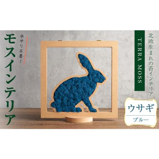 ふるさと納税 花・苗木 宮城県 柴田町 モスインテリア「ウサギ」(ブルー) 横200mm・高さ200mm・幅15mm 観葉植物 苔 コケ テラモス インテリア 植物 結び sh029…