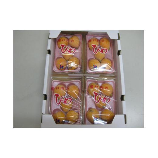 ふるさと納税 果物類 びわ 香川県 さぬき市 香川のびわ 「なつたより」約1kg 5月下旬頃〜発送