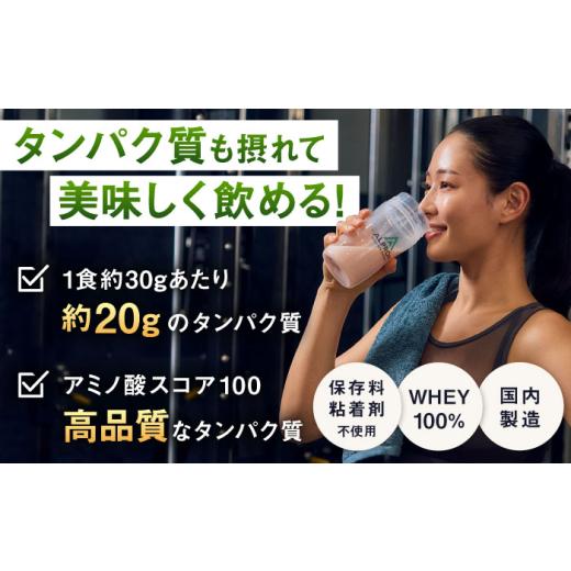 ふるさと納税 牛乳・乳飲料 島根県 雲南市 プロテイン ALPRON WPC プロテイン 3kg ミルクココア風味（チョコチップ入り）1個 ダイエット ホエイプロテイン タ…の画像
