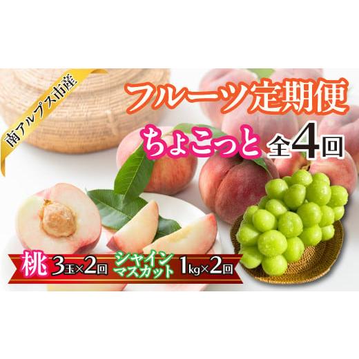 ふるさと納税 ぶどう マスカット 山梨県 南アルプス市 2026年度 先行予約 ちょこっと フルーツ4回定期便(桃3玉×2回 | シャインマスカット1.0kg×2回…