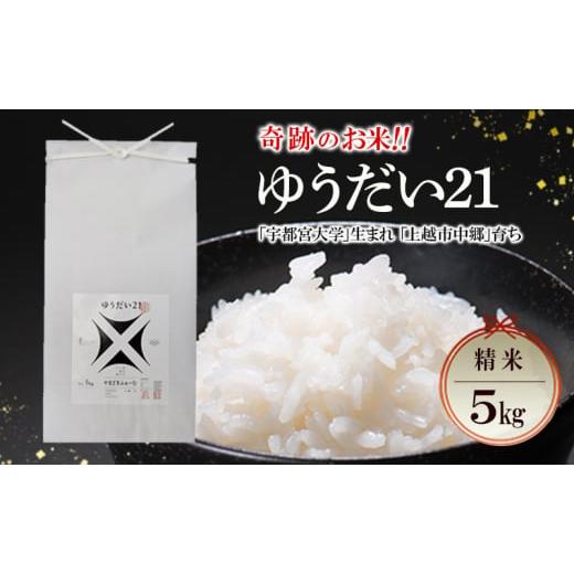 ふるさと納税 米 新潟県 上越市 新米 令和7年 新潟県上越市産 ゆうだい21 5kg 5キロ 奇跡のお米 宇都宮大学生まれ 中郷 やまざきふぁーむ 送料無料