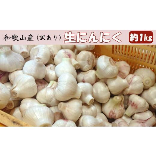 ふるさと納税 野菜類 和歌山県 印南町 和歌山県産 生にんにく 約1kg ご家庭用 2027年4月下旬より順次発送[TM202]