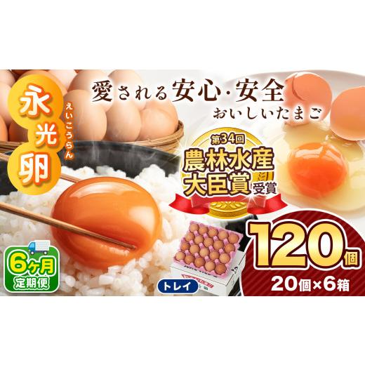 ふるさと納税 卵（鶏、烏骨鶏等） 千葉県 君津市  定期便 6回 メディア紹介多数 永光卵 120個 卵 たまご 選べる 個数 回数 トレイ タイプ | 送料無料 えいこう…_1